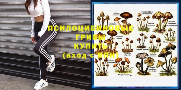 прущие крисы Баксан