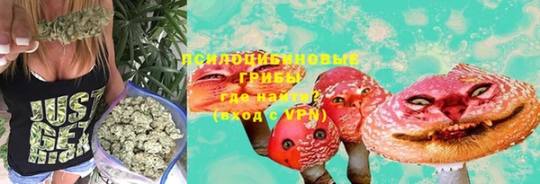прущие крисы Баксан