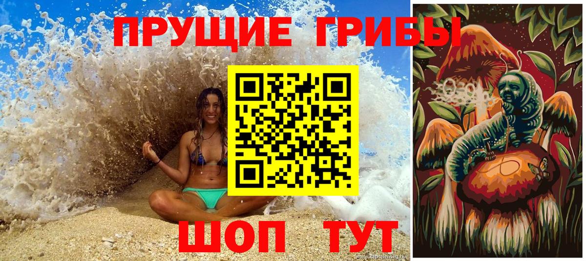Галлюциногенные грибы Psilocybe  Вход с VPN  Бор 